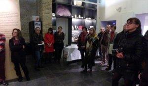 Sorties : Nouvelle expo au CIAC de Bourbourg - 01 Février 2018