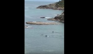 Deux orques passent à coté de deux enfants dans une baie