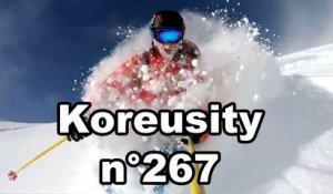 Koreusity n°267