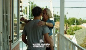 Animal Kingdom : la saison 1 avec Ellen Barkin, Shawn Hatosy...