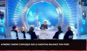 SLT : Aymeric Caron explique pourquoi il n’apprécie pas le hashtag Balance ton porc (vidéo)