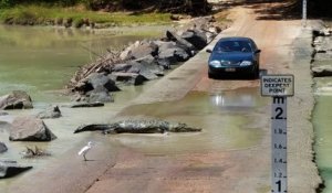 Attention à la traversée de crocodiles... Impressionnant