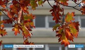 Rougeole : une femme décède dans la Vienne