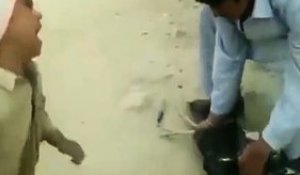 Un enfant sauve une poule que son père allait tuer