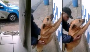 Un chien russe qui se fait fouiller par un policier