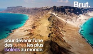 L'île de Socotra, joyau de la biodiversité mondiale
