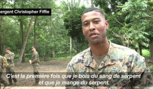 Thaïlande: du sang de cobra au menu des soldats