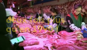 Chine : les "usines à viande" envahissent le marché du porc