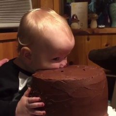 Gourmand Ce Bebe Mange Le Gateau La Tete Dedans Sur Orange Videos