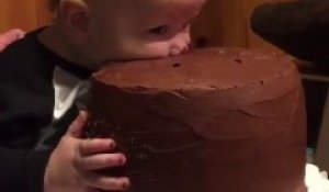 Gourmand, ce bébé mange le gateau la tête dedans !