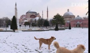 Neige à Istanbul : Sainte Sophie, la mosquée bleue et le Bosphore tout de blanc vêtus