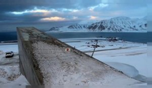 Arche de Noé du Svalbard : un million d'espèces végétales à l'abri