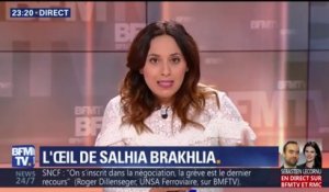 L'oeil de Salhia Brakhlia : On a suivi Laurent Wauquiez au salon de l'agriculture. Débrief !
