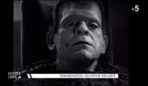 Frankenstein, un mythe pas mité