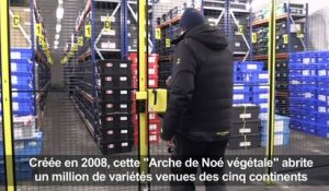 Le réchauffement menace "l'Arche de Noé végétale" en Arctique