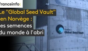 Le “Global Seed Vault“ en Norvège : les semences du monde à l'abri