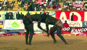 RUBRIQUE JELL BI du 13 Mars 2018 avec SA BOKHOL & REFERENCE dans L' Oeil Du Tigre