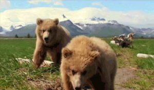 La mythification de l'Alaska dans le cinéma américain - Agathe Périn
