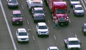 Un petit chien sème le bazar sur une autoroute (Etats-Unis)