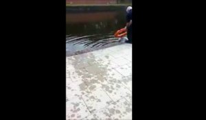 Le héro du jour : il plonge dans l'eau glacée pour sauver un chat