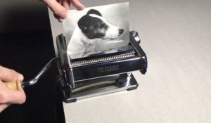 Quadrupler une photo d'un chien avec une machine à pâtes