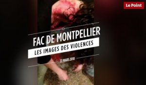Fac de Montpellier : les images des violences