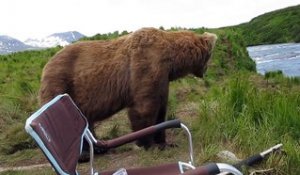 Un grizzly vient s'asseoir à coté d'un pecheur... Incroyable