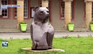 Pourquoi Hulot veut réintroduire deux ourses dans les Pyrénées