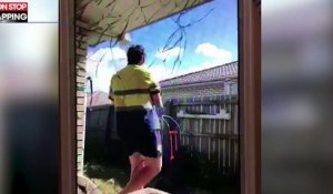 Un homme s'amuse à jeter un chat par-dessus une clôture, la vidéo choc