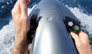 Un appareil qui permet de nager au milieu des dauphins