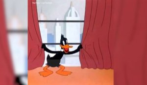 Joyeux Anniversaire Bob L Eponge Sur Orange Videos