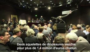 Près de 3 millions d'euros pour deux squelettes de dinosaures
