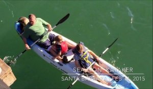 Regardez qui grimpe dans le kayak de cette famille en balade ... Adorable
