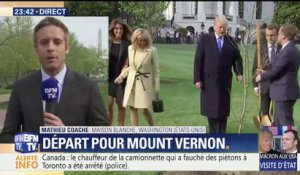 Visite d'Emmanuel Macron à Donald Trump: les deux couples présidentiels ont planté un arbre
