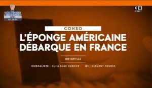 L'éponge Américaine débarque en France