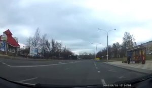 Baston de cigognes sur la route (Minsk)