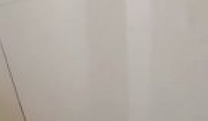 Un Chat Capricieux S Agite En Miaulant Violemment Pour Avoir Un Petit Morceau De Friandise Sur Orange Videos