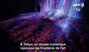 Tokyo: un musée numérique pour repousser les frontières de l'art