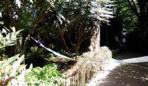 Ixelles: une femme s'immole par le feu au parc Tenbosch