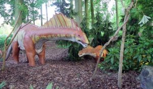 Les dinosaures de Pairi Daiza