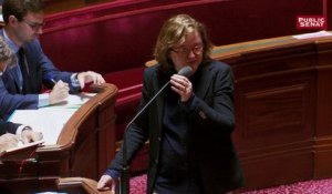 Polémique au Sénat : La ministre Nathalie Loiseau évoque les migrants qui font du "shopping de l'asile"
