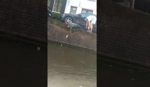 Il essaie de récupérer une canette dans un canal (Amsterdam)