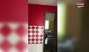 Un propriétaire qui a loué sa maison la retrouve dans un état lamentable (Vidéo)