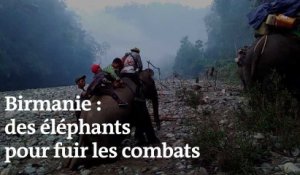 Birmanie : des civils fuient les combats à dos d’éléphants