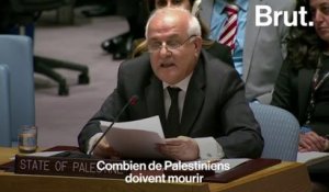 Gaza : voilà à quoi ressemblait le Conseil de Sécurité de l'ONU