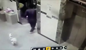 Un livreur sauve un chien sur le point de se faire ecraser par un ascenseur