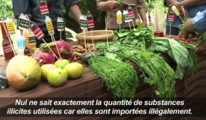 La Thaïlande confrontée aux pesticides contrefaits
