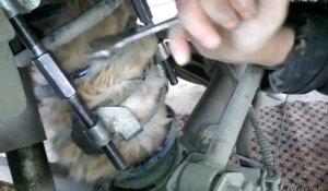 Retrouver un chat coincé dans un amortisseur de voiture...  Incroyable