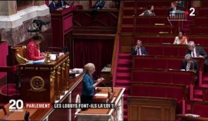 Parlement : les lobbies font-ils la loi ?
