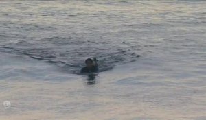 Les meilleurs moments de la série de Michel Bourez et Connor O'Leary (Uluwatu CT) - Adrénaline - Surf